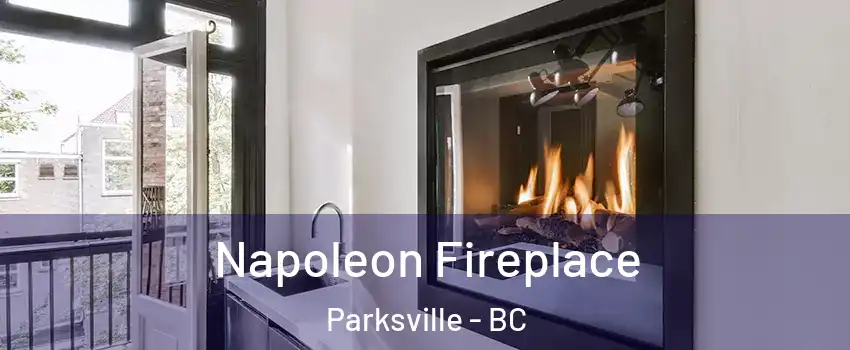  Napoleon Fireplace Parksville - BC