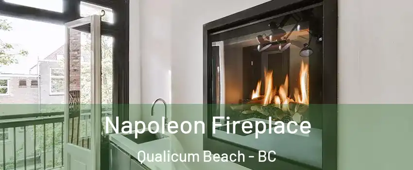 Napoleon Fireplace Qualicum Beach - BC