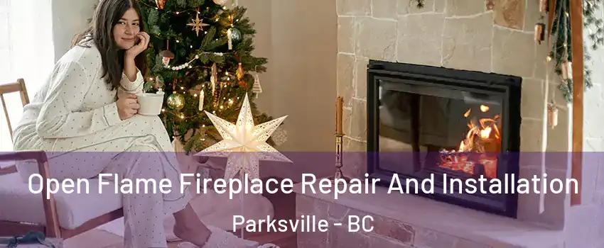  Open Flame Fireplace Repair And Installation Parksville - BC