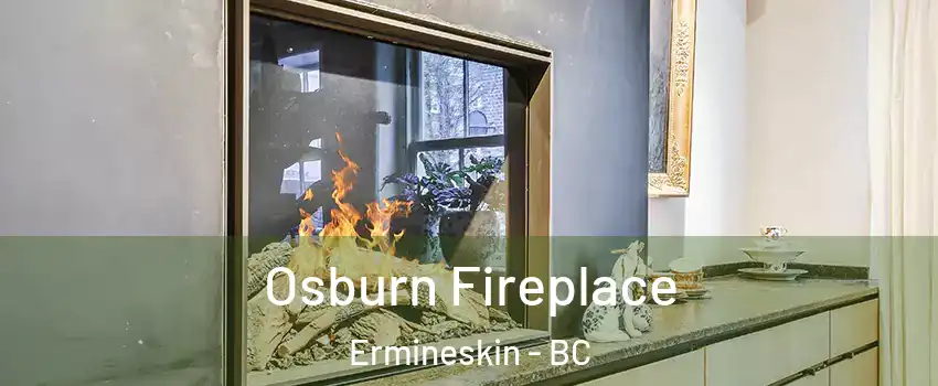  Osburn Fireplace Ermineskin - BC