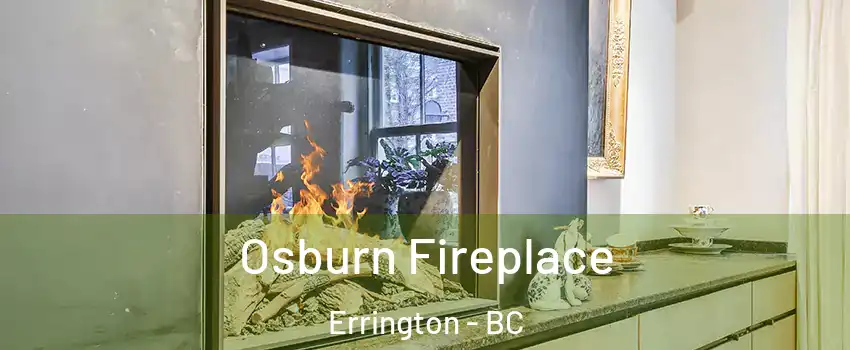  Osburn Fireplace Errington - BC