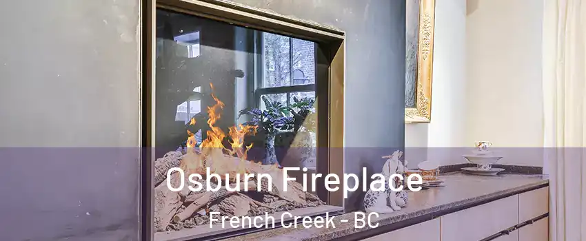  Osburn Fireplace French Creek - BC