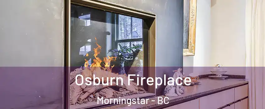  Osburn Fireplace Morningstar - BC
