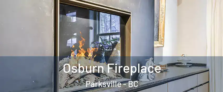  Osburn Fireplace Parksville - BC