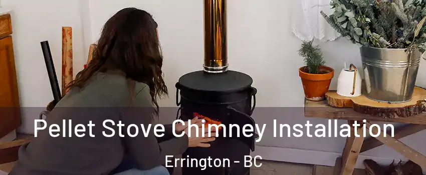  Pellet Stove Chimney Installation Errington - BC