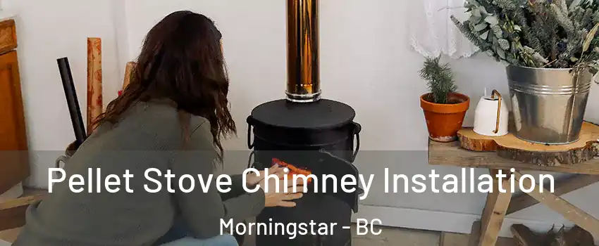  Pellet Stove Chimney Installation Morningstar - BC