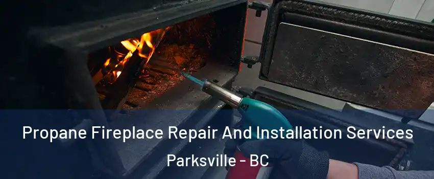 Propane Fireplace Repair And Installation Services Parksville - BC