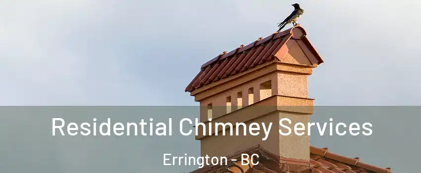  Residential Chimney Services Errington - BC