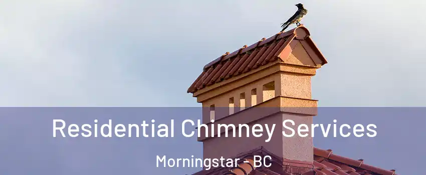  Residential Chimney Services Morningstar - BC