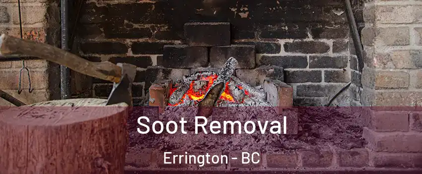  Soot Removal Errington - BC