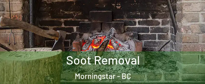 Soot Removal Morningstar - BC