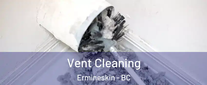  Vent Cleaning Ermineskin - BC