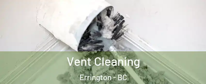  Vent Cleaning Errington - BC