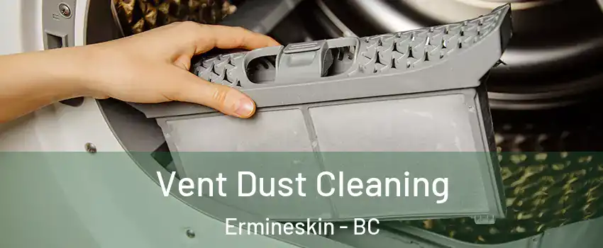  Vent Dust Cleaning Ermineskin - BC