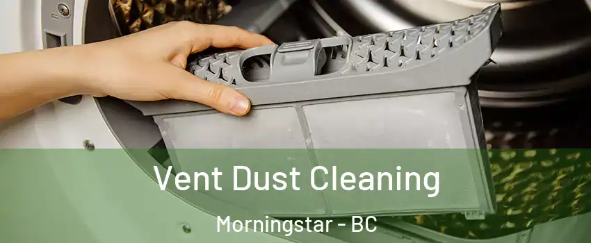  Vent Dust Cleaning Morningstar - BC