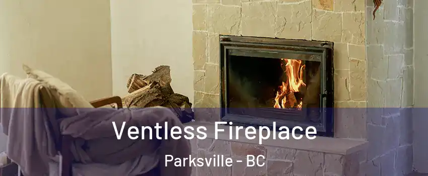  Ventless Fireplace Parksville - BC
