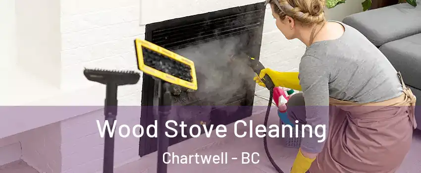  Wood Stove Cleaning Chartwell - BC