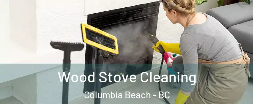  Wood Stove Cleaning Columbia Beach - BC
