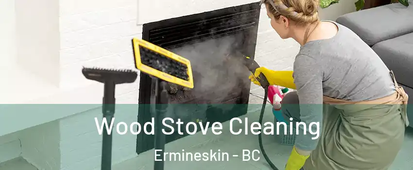  Wood Stove Cleaning Ermineskin - BC