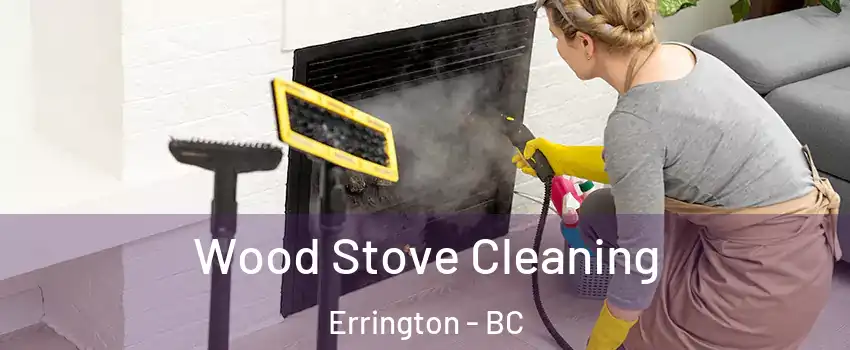  Wood Stove Cleaning Errington - BC