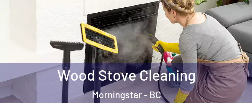  Wood Stove Cleaning Morningstar - BC